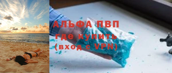 индика Алзамай