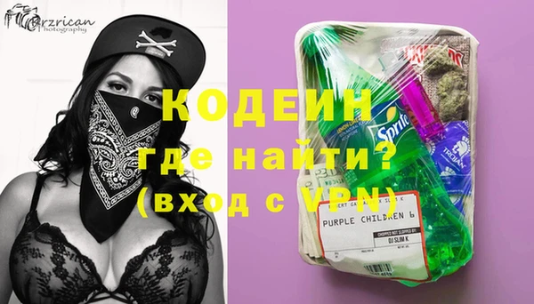индика Алзамай