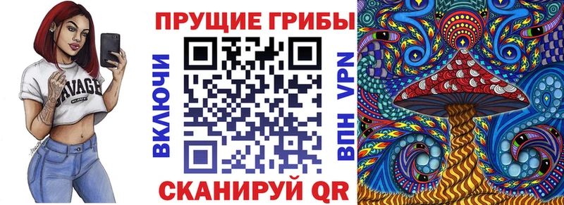 OMG онион  Находка  Псилоцибиновые грибы ЛСД  закладки 